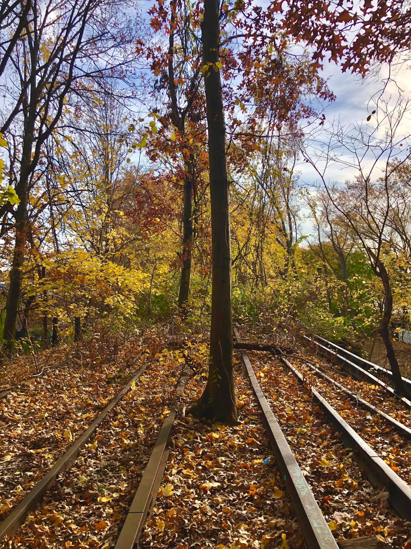 Old Queens Railway