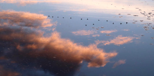 Clouds Reflected in Water