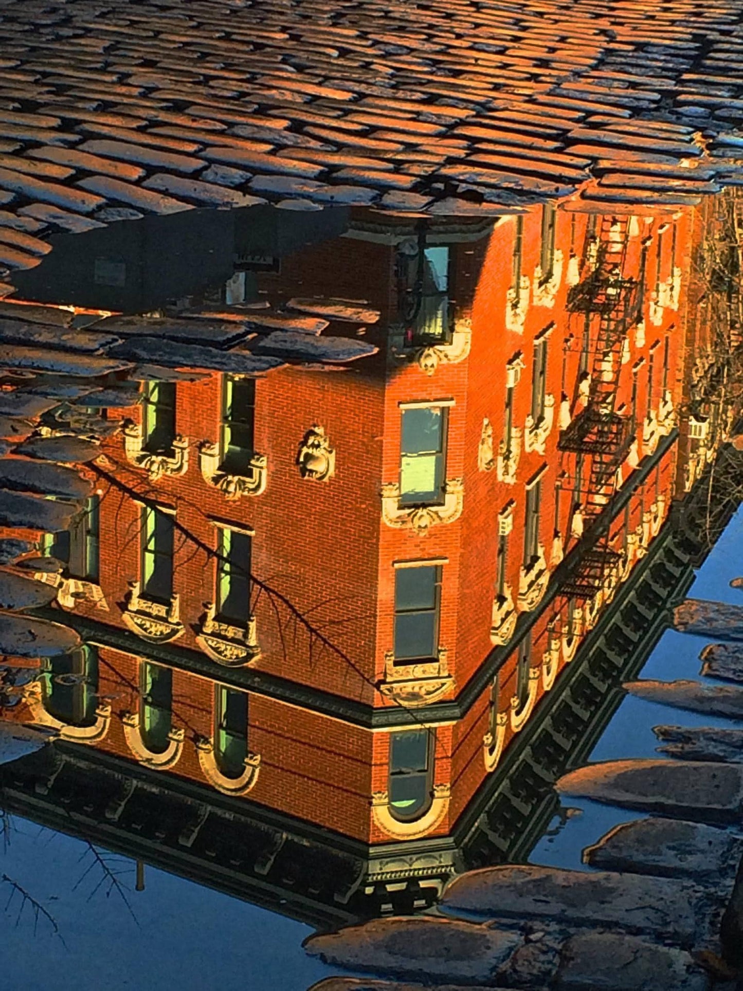 Cobblestone Reflection