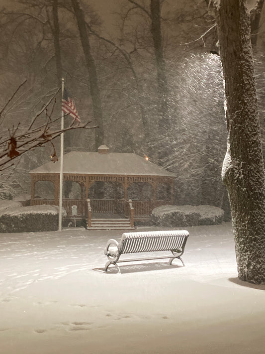 Snowy Bench